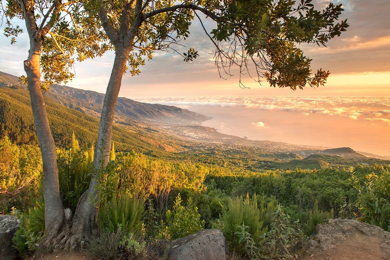 Mirador del Llano de la Venta