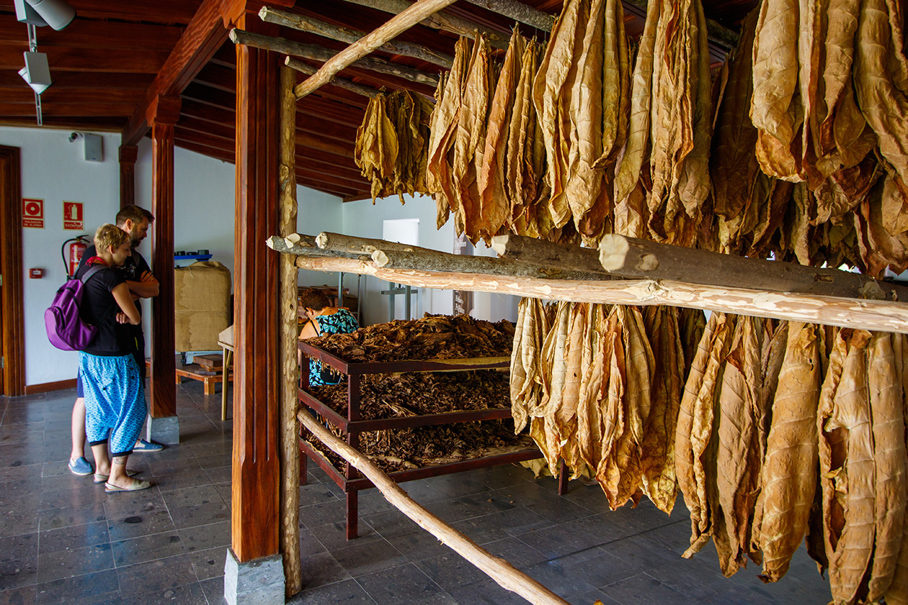 Museo del Puro Palmero y de la Fiesta de las Cruces