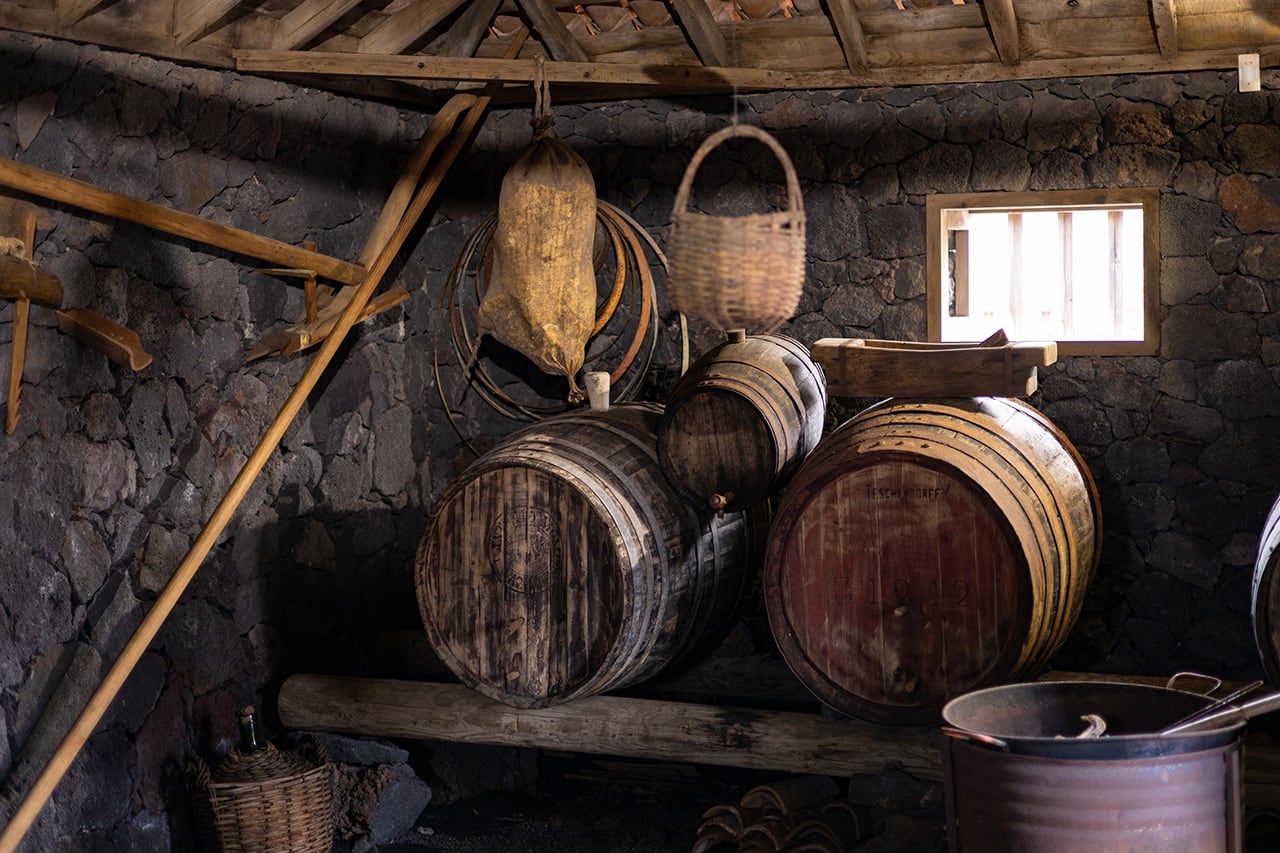Museo del Vino