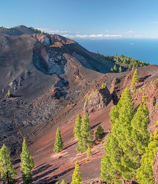 Red Oficial de Senderos de La Palma
