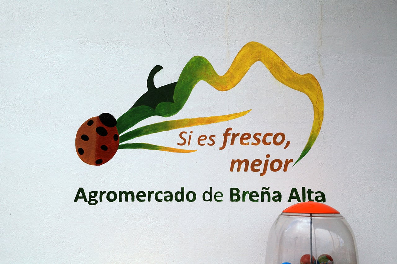 Agromercado de Breña Alta